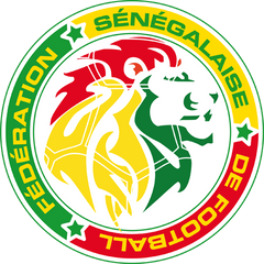 An tSeineagáil – foireann náisiúnta